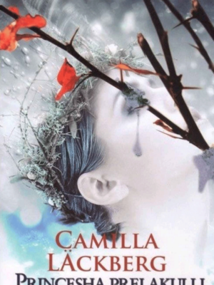 Princesha prej akulli