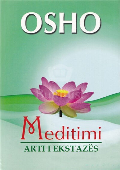 Meditimi: arti i ekstazës